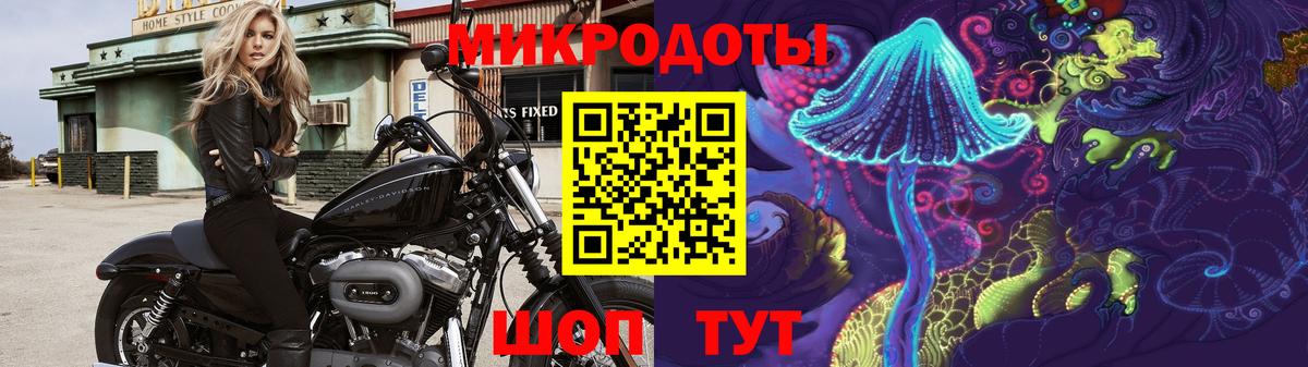 Донской  Псилоцибиновые грибы MAGIC MUSHROOMS  Вход с VPN 