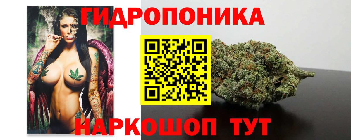 Бошки марихуана SATIVA & INDICA  Конопля Bruce Banner  Вход с VPN  Каннабис VHQ  Донской 